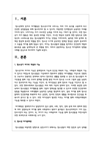 청소년 여가문화의 방향을 사례를 중심으로 제시하여 기술-2