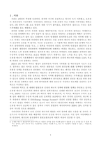 진로와 직업보고서_열분해 가스를 이용한 신재생 에너지 활용 및 적용-3