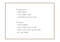 루이비통 마케팅 4P,STP,SWOT분석 및 루이비통 다양한 마케팅사례와 향후전략제시 PPT-10