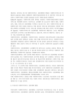 현재 우리나라 사회복지서비스 전달체계의 현황 및 문제점과 개선방안에 대하여 서술하시오.-3