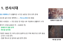 인도의 역사-2