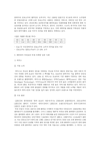 [국제 마케팅] 국제 마케팅 성공 사례-7