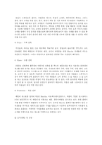 [국제 마케팅] 국제 마케팅 성공 사례-11