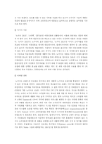 [국제 마케팅] 국제 마케팅 성공 사례-13