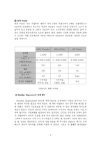 [국제경영] 메리디안 Meridian Magnesium 사례 분석-5