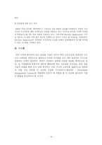[국제경영] 메리디안 Meridian Magnesium 사례 분석-18