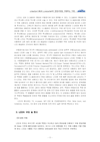 [국제경영] LCD시장(디스플레이 산업)의 추세 및 전망과 `디보스`(diboss)의 글로벌기업으로의 도약-5
