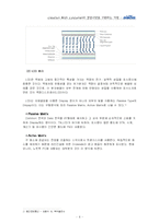 [국제경영] LCD시장(디스플레이 산업)의 추세 및 전망과 `디보스`(diboss)의 글로벌기업으로의 도약-6