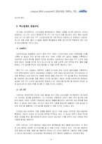 [국제경영] LCD시장(디스플레이 산업)의 추세 및 전망과 `디보스`(diboss)의 글로벌기업으로의 도약-9