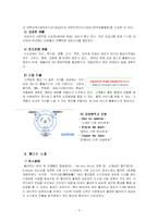 [국제경영전략] 삼성테스코와 월마트 경쟁전략비교-3