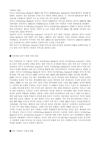 [국제마케팅] 세계적인 명품 Anycall(애니콜)의 성공적인 중국시장 마케팅-8