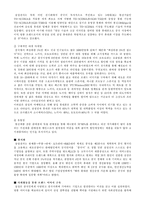 [국제마케팅] 세계적인 명품 Anycall(애니콜)의 성공적인 중국시장 마케팅-12
