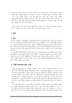 [국제마케팅] sm엔터테인먼트 일본 시장 진출 사례 분석-3