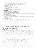 [인터넷소비자행동] 인터넷 소비자 행동의 이해-13