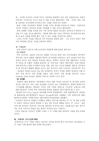 [조직행위론] 국내 기업 CEO의 리더쉽 분석 -LG전자 김쌍수 부회장과 레인콤의 양덕준 사장-3