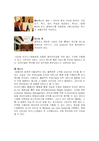 [호텔경영] 중저가호텔 이비스 ibis 호텔 성공 요인과 마케팅 전략-8