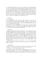하이네켄 마케팅전략-5