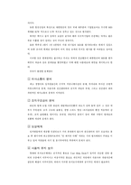 [경영정보시스템](주)대한항공 MIS 평가보고서-19