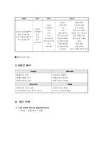 [경영학] 아이스크림 전문점 `나뚜르` 경영전략-3