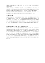 [마케팅분석] Sony(소니) PSP 마케팅분석-4