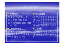 [마케팅] 렉서스(도요타)-12