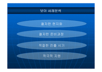 [국제마케팅] sm엔터테인먼트 일본 시장 진출 사례 분석-14