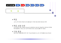 [마케팅] 랍스터 소프트웨어 온라임게임 `storm` 마케팅-2