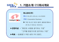 [국제경영전략] 락앤락 하나코비의 국제 시장 경쟁력-4