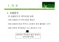하이네켄 마케팅전략-4