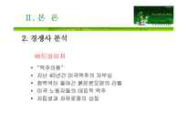 하이네켄 마케팅전략-13