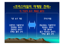[인터넷마케팅] JCE의 프리스타일(파란) 분석&마케팅 전략-12