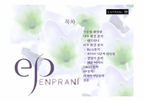 [마케팅기획서] 엔프라니 마케팅전략-2