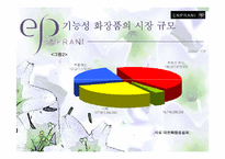 [마케팅기획서] 엔프라니 마케팅전략-6