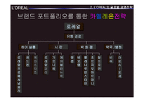 [국제경영전략] 로레알 L`OREAL 경쟁전략-9