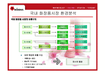미샤 경영분석 레포트-9