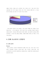 [마케팅실패사례] 롯데 초코파이 실패사례-15