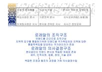 [글로벌경영] 로레알 L`oreal 국제경영전략-10