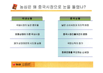 [글로벌경영] 신라면의 중국 진출-5