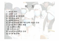 <사회문제> 성매매의 실태와 문제점 및 사회복지방안-2