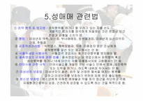 <사회문제> 성매매의 실태와 문제점 및 사회복지방안-9