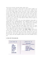 [서비스경영] 아시아나 항공 서비스 경영사례-14