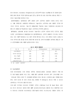 [국제경영] 금호타이어의 국제경영전략-13