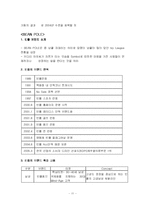 [비교경영론] 빈폴과 폴로 비교분석-11