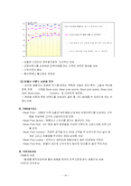 [비교경영론] 빈폴과 폴로 비교분석-14