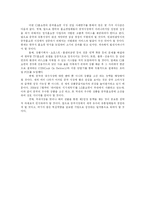 [국제경영전략] CJ홈쇼핑 진입사례로 본 중국 홈쇼핑시장-19