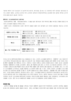 [경영전략] 오비맥주 OB맥주 전략분석-16