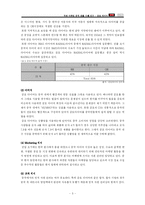 [국제마케팅] 금호타이어 중국 진출 사례 연구-5