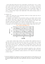 [국제경영] 해외시장 진출전략 -대상(주)의 글로벌 전략-6