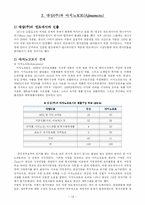 [국제경영] 해외시장 진출전략 -대상(주)의 글로벌 전략-15