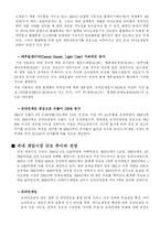 [국제경영] 그라비티 라그나로크의 일본시장진출 성공전략 및 요인분석(현지화전략)-8